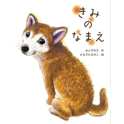 楽天市場 佼成出版社 きみのなまえ 佼成出版社 あんずゆき 価格比較 商品価格ナビ